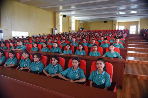 濱海新區文藝小分隊圓滿完成和田文化交流活動，譜寫文化交融新篇章